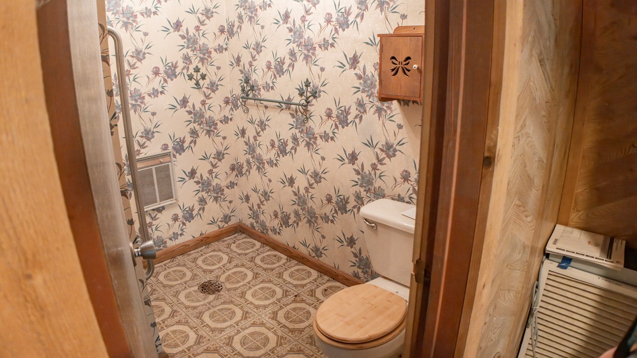 full bath lower level